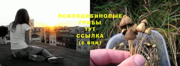 наркотики Абаза