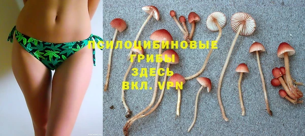 хмурый Абинск