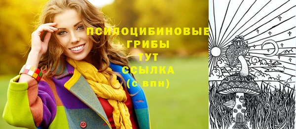 хмурый Абинск