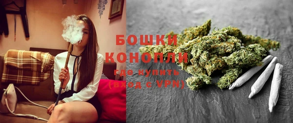 прущие грибы Куйбышев